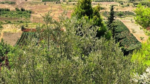 Građevinsko zemljište 762 m2 mirna lokacija, blizina mora - Dubrovnik otoci